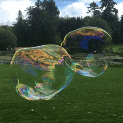 giant bubbles floating in the air