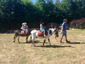 Donkey rides hire animals Gloucestershire.