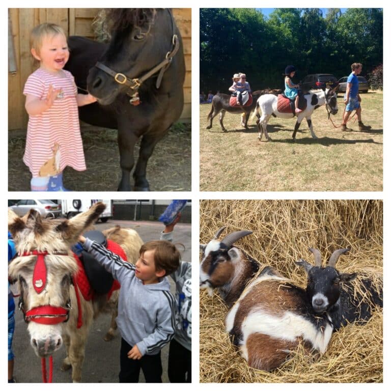 Donkey rides at a children's party