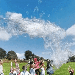 massive giant bubble net web for bubbles