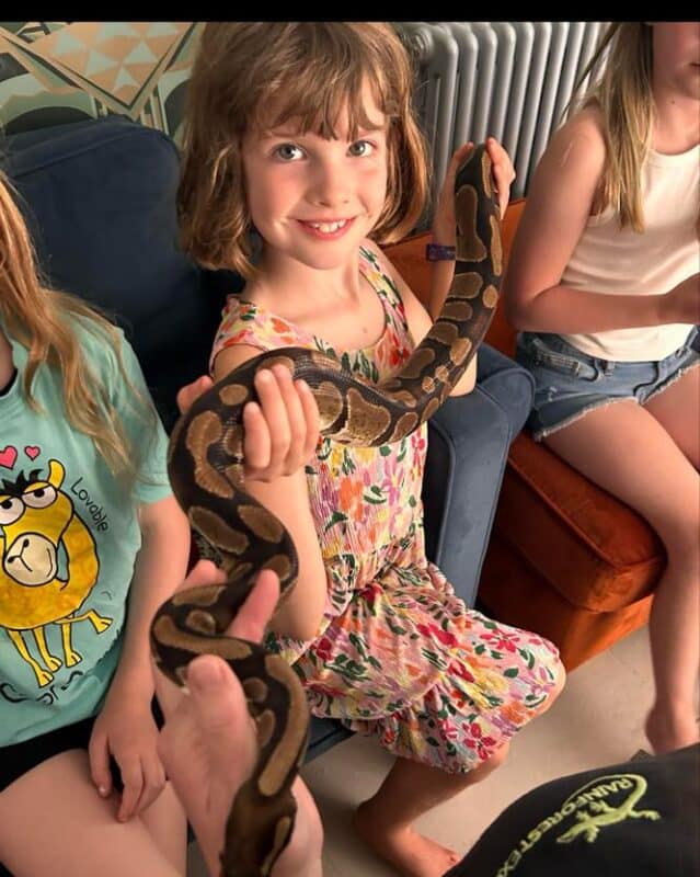 snake encounter reptile party gloucester