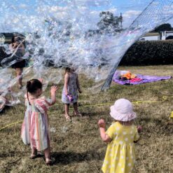 professional bubble wand