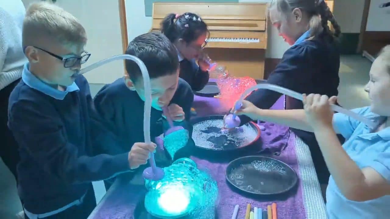 School Workshops - Educational Bub